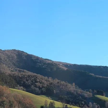 Gasthaus Zur Linde Hotel Glottertal