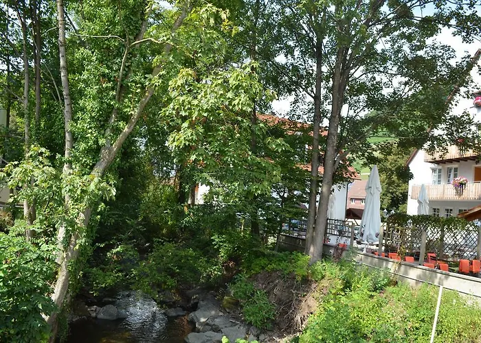 Gasthaus Zur Linde 호텔